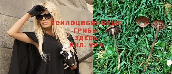 дживик Белокуриха