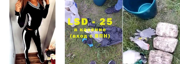 дживик Белокуриха