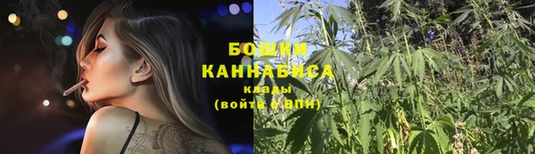 дживик Белокуриха